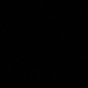 Meet your Posher, Belle